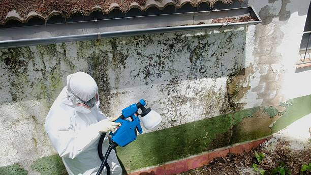 Top rated local Commercial Mold Remediation specialists in Chester Springs, PA